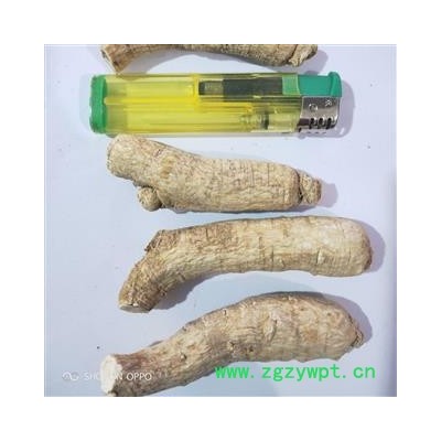 西洋参 新到中大西洋参个纯干无硫磺无虫蛀无药残干净无杂，实物拍摄 产地 吉林省