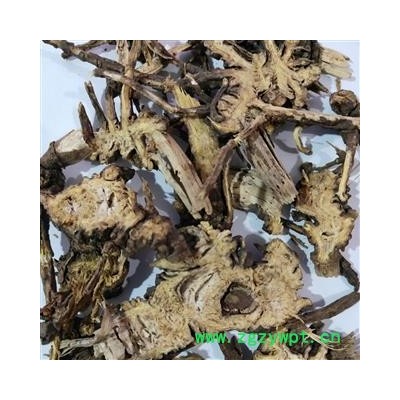 藁本 辽藁本统片 产地 辽宁省