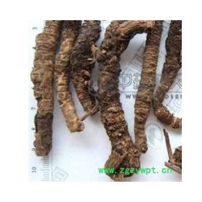 胡黄连 西藏胡黄连选货 产地 西藏自治区