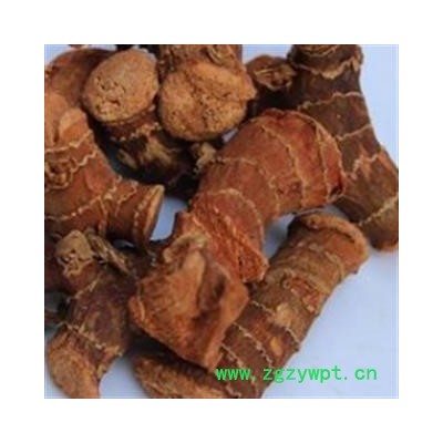 高良姜 高良姜统个 产地 广西壮族自治区