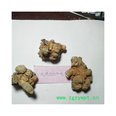 三七 三七30头 产地 云南省