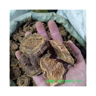 大黄 甘肃家种大黄统片新货颜色好 产地 甘肃省