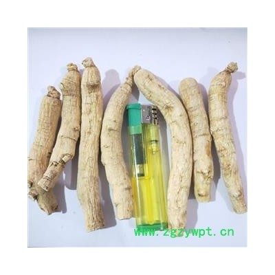 西洋参 新到西洋参中个。纯干无硫磺无虫蛀干净无杂质，实物拍摄 产地 吉林省