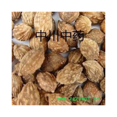 益智仁 海南一级原统  库存5000可售