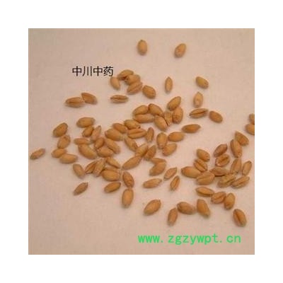 浮小麦   产地四川   库存5000可售