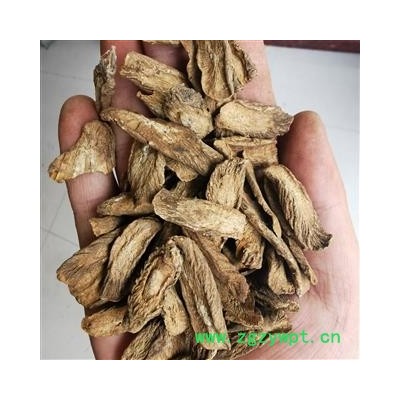 牛蒡茶 产地直销大货炒牛蒡茶中选片 产地 山东省