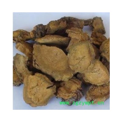 大黄 甘肃大黄家种水根片 产地 甘肃省