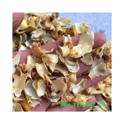 百合 低硫大片百合 产地 湖南省