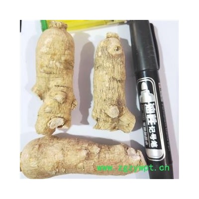 西洋参 新到西洋参精品特大个，纯干无硫无虫蛀干净无杂质实物拍摄 产地 吉林省