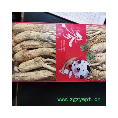 人参 本店新到生晒参35支货干无硫磺条形好 产地 吉林省