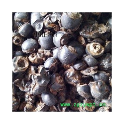 蜣螂 清水选货  产地河北   库存500可售