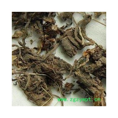 四川野生甘松   高含量药厂大货 库存5000可售