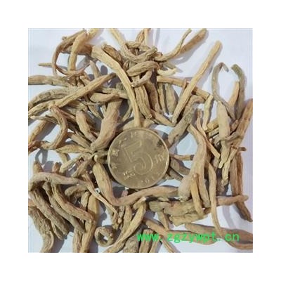 太子参 太子参中统 产地 贵州省