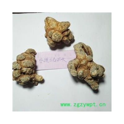 三七 三七25头春七 产地 云南省