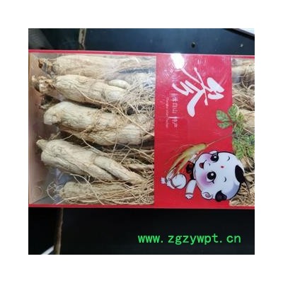 人参 本店新到生晒参25支条形好货干无硫磺 产地 吉林省