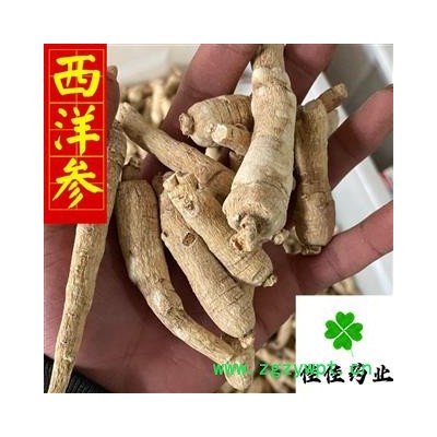 西洋参 西洋参长支10-20g 中支选货 产地直销 正品 纯干货 产地 吉林省