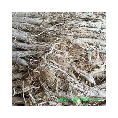 茗生春  白参 25枝  支持打粉，  地道药材