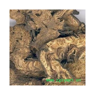 茗生春生物科技 支持打粉，升麻 地道药材  物美价廉