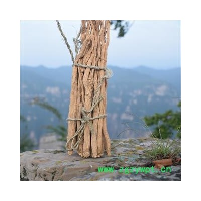 党参 新货 山西道地药材潞党参特级大条 直径0.8cm以上 3年生上党参本色无硫 合作社直销