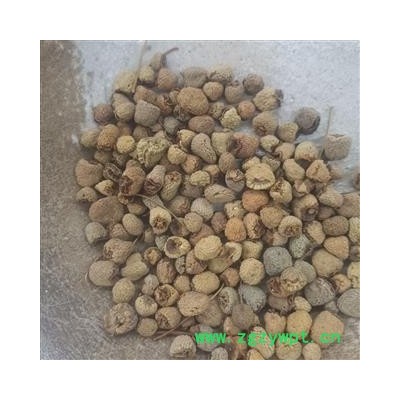 贝母 浙江潘安统 产地 浙江省