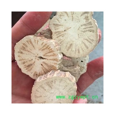 亳州花田错药业   防己  粉防己  支持打粉