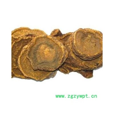 【录建药业】四川马蹄大黄 无熏硫大统货1000克 产地直销 重在品质 过筛无杂质 味道浓郁 药劲十足  规格齐全 批发零售抓方打粉