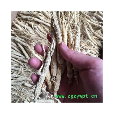 铭生春药业     生晒参      40枝