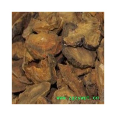 【录建药业】家种甘肃大黄统货1000克 产地直销 重在品质 过筛无杂质 味道浓郁 药劲十足  规格齐全 批发零售抓方打粉