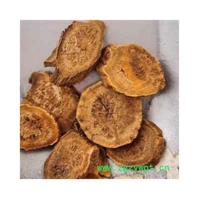 大黄 四川大黄统片 产地 四川省