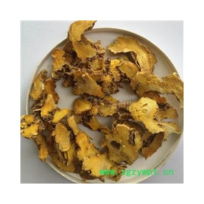 射干 祁射干统片 产地 河北省保定市安国市