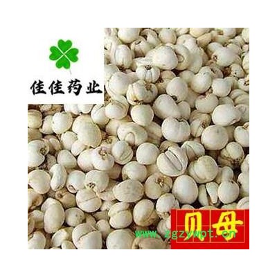 贝母 选装 圆球状 豆贝母 小圆贝母 实物图 促销 降价 产地 吉林省
