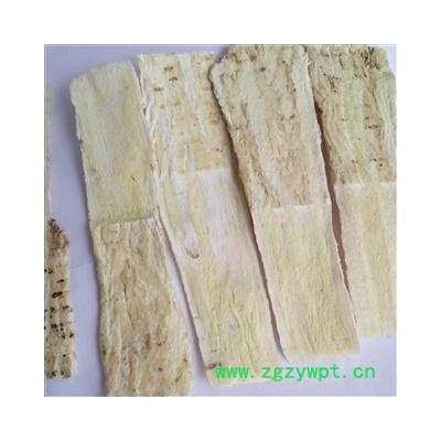 【录建药业】黄芪 2指宽压片 产地 甘肃省定西市岷县