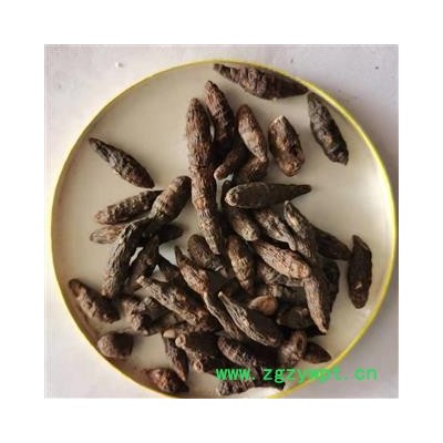 香附 光香附统个 产地 河南省