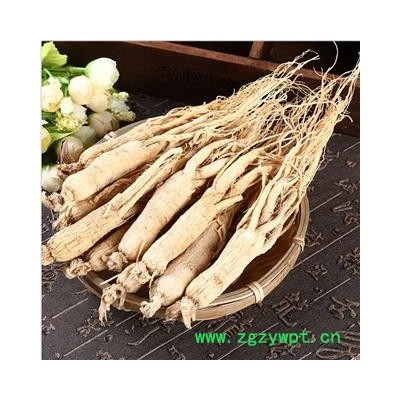 人参 生晒参35支 产地 吉林省 双鹏药材行 可提供打粉