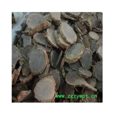 文术 统 产地 广西壮族自治区南宁市市辖区