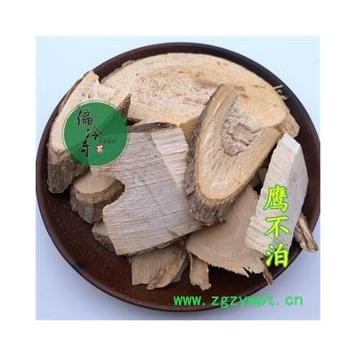 鹰不扑 鸟不宿 鸟不落 鹰不泊 统 产地 广西