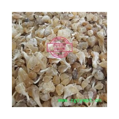 薤白 大个 选装 产地 山东省