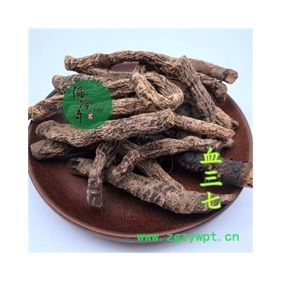 血三七 赶山鞭 扭子七 血当归 血疙瘩 统 产地 广西壮族自治区