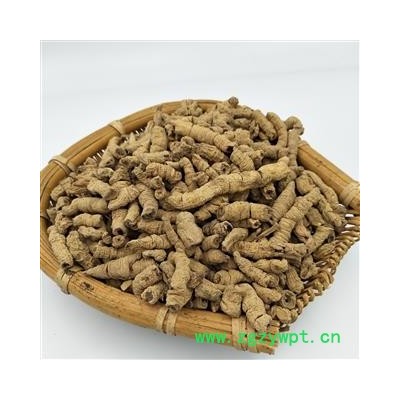 巴戟天 选货 抽芯率百分之97以上 产地 广东省