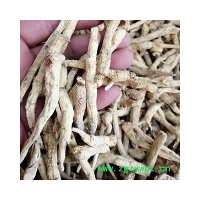 西洋参 西洋参小条符合2020版药典标准产地直供支持货到付款 产地 吉林省白山市抚松县
