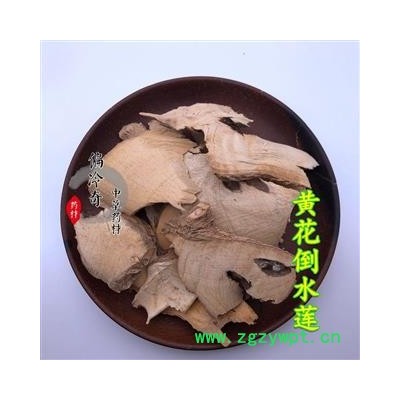 黄花倒水莲 一身保暖 倒吊黄花 黄花参 观音串 统 产地 广西壮族自治区 库