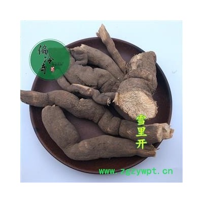 雪里开 地雷 单叶铁线莲 拐子药 统 产地 贵州省