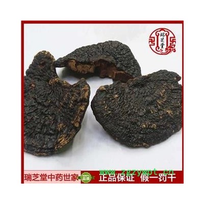 灵芝 海南薄树芝 薄盖灵芝 瑞芝堂产地直销1000克