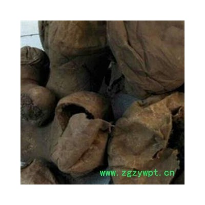 诺源药材行中药材马勃 马粪包 牛屎蛄