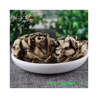 灰树花 贝叶多孔菌、栗子蘑、莲花菌、叶状奇果菌、千佛菌