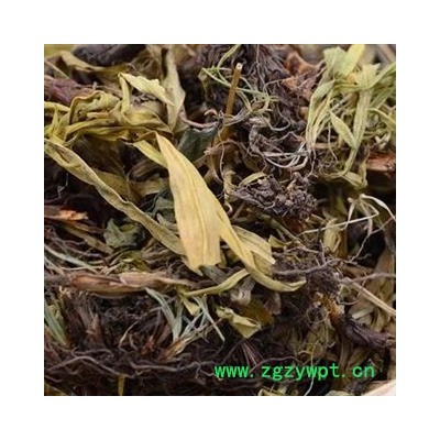 水洗甘松 统货 产地 四川省安国市场批发零售大全