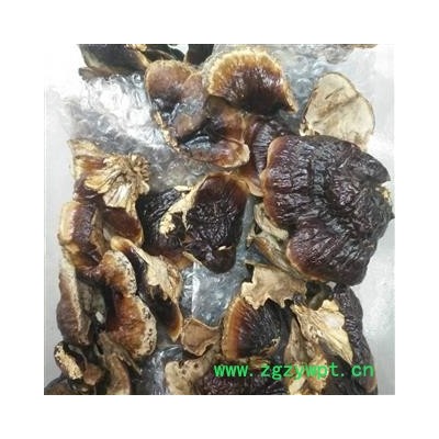 安祁名药优质灵芝