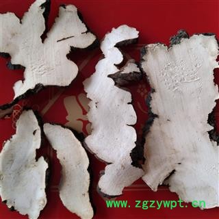 猪苓 猪屎苓水洗选片手选片 过筛3.0 产地 陕西省汉中市