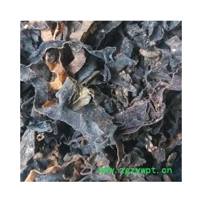 诺源药材行昆布   水洗昆布  另有海藻