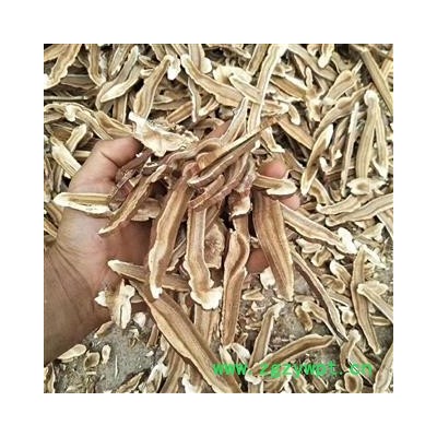 安祁名药灵芝 新货灵芝片